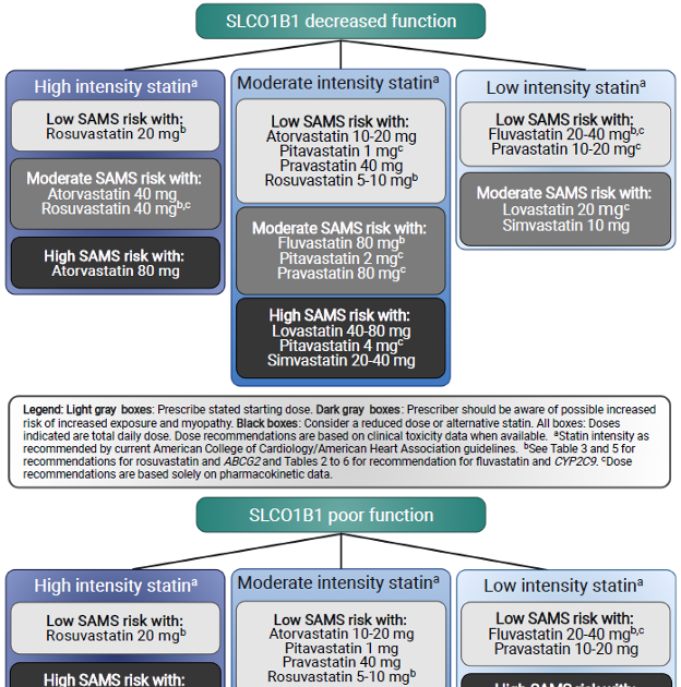 The ABCs of RBCs: An Introduction to Dynamic Macroeconomic