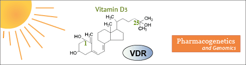 Vitamin D receptor (VDR) polymorphisms and treatment responses